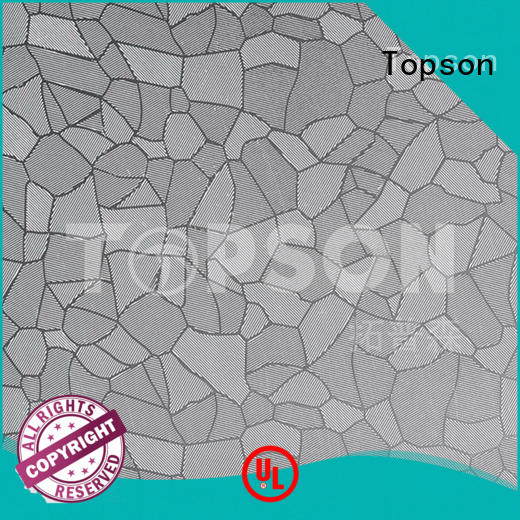 Topson vibration vibration finish stainless steel factory for handrail