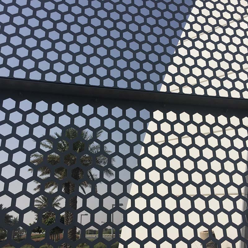 Topson elegant perforated metal screens suppliers export for exterior decoration-2