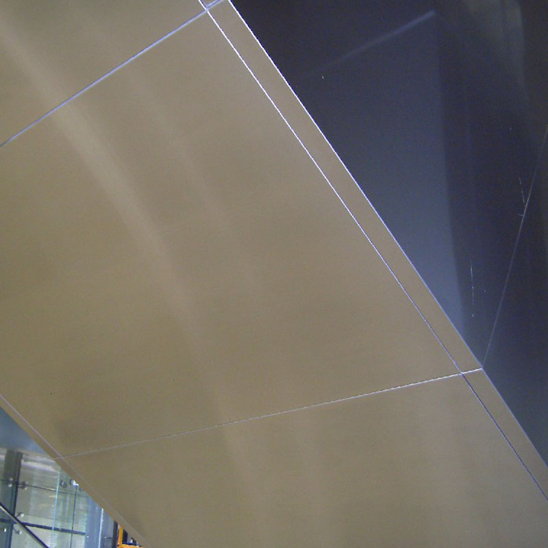Topson elevator cladding materials pdf Supply for shopping mall-1