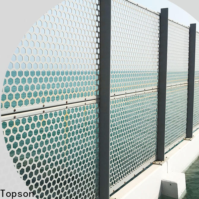 Topson special design carved window screen factory for protection