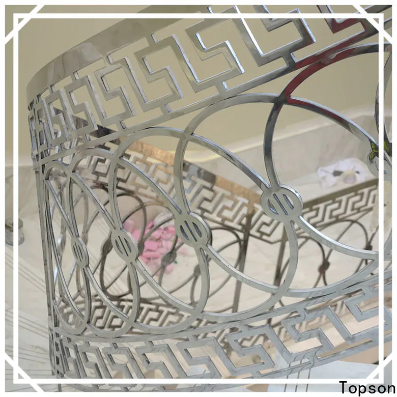 Topson good looking stainless steel and glass balcony railings Supply for tower