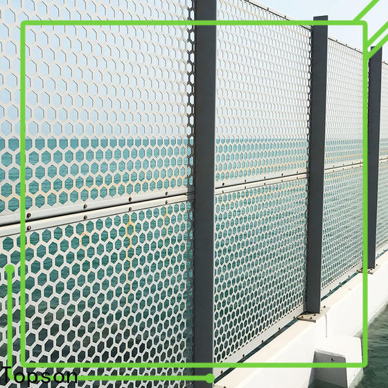 Topson external outdoor metal screens factory for building faced